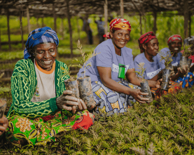 Sustainability through Every Smile: Tree-Planting in Rwanda