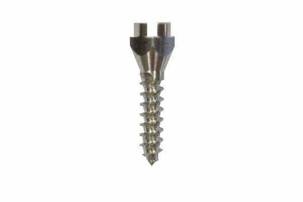 Infinitas Stent Analogue (packet of 5)