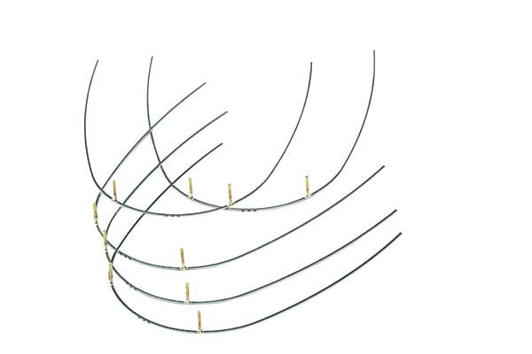 Stainless Steel Posted Archwires